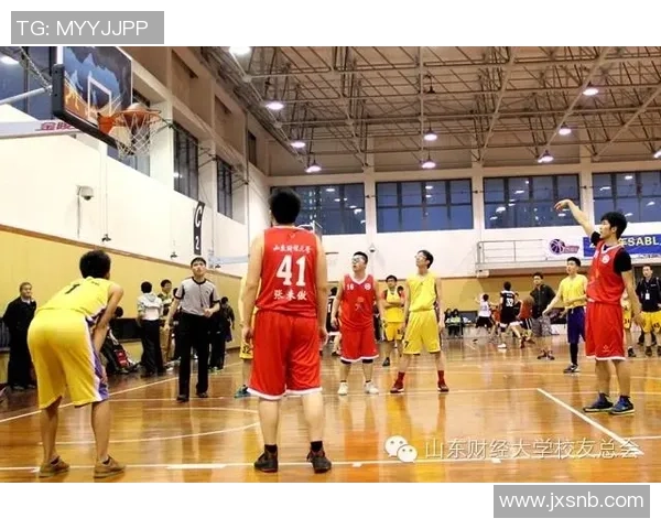 上海排球队比赛经验分析与表现评估的深度研究